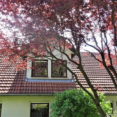 Neubrandenburg-wasser,natur,zentrum,ladestation Fuer E-autos ノイブランデンブルク