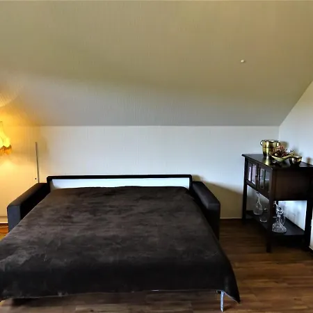 Neubrandenburg-wasser,natur,zentrum,ladestation Fuer E-autos アパート *