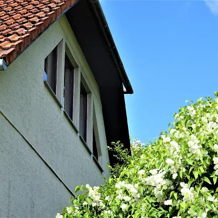 Neubrandenburg-wasser,natur,zentrum,ladestation Fuer E-autos * ノイブランデンブルク