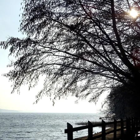 Neubrandenburg-wasser,natur,zentrum,ladestation Fuer E-autos