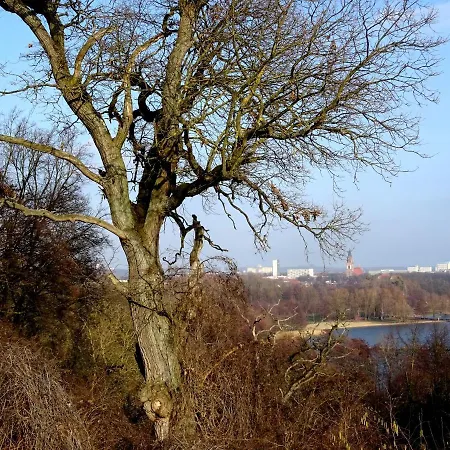 Apartment Neubrandenburg-wasser,natur,zentrum,ladestation Für E-autos *