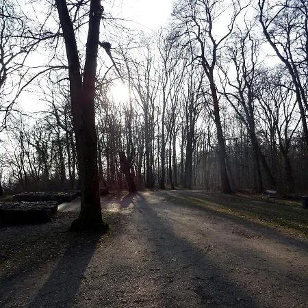 アパート Neubrandenburg-wasser,natur,zentrum,ladestation Fuer E-autos *