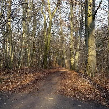 Neubrandenburg-wasser,natur,zentrum,ladestation Fuer E-autos ノイブランデンブルク